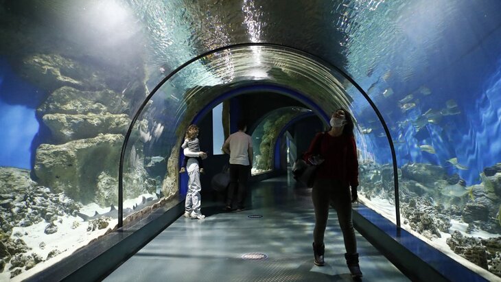 ������������ "����� �����" ��������� � "�����������" � 14 �������