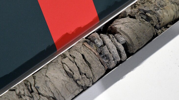 ����� ��������� ���������� ��� ��������� �������� ����� � �������