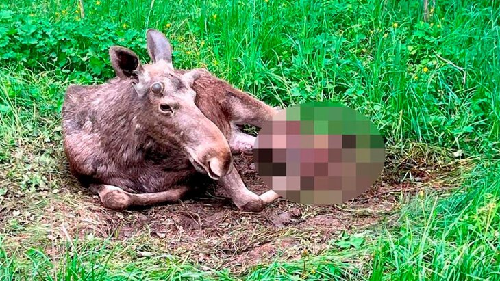 ���� ������ � ����������� �������