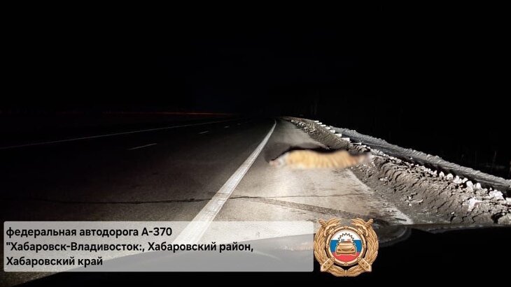 ����������� �������� ���� �������� ����� � ����������� ����