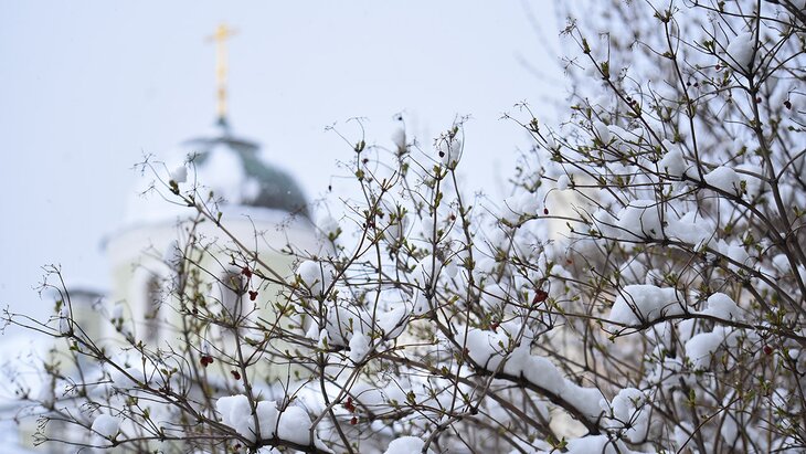 �������� ����� ��������� � ������ ����� � ������