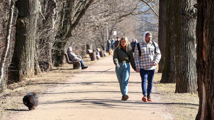 ����������� 16 ������ � ������ ������ ������ 1920 ����