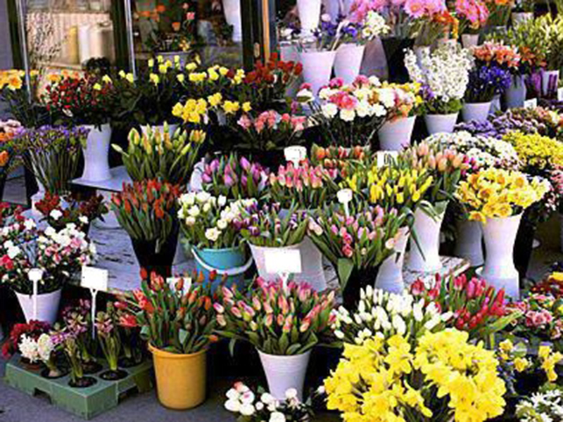 � ������ �������� ����� �� ��������� ���������� �������� �������