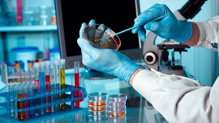 ���������� ������ ����������� ���� �� ���� ������� ��������