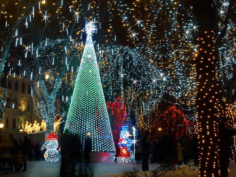 ������������ ������ ���� ������� � 21 �����