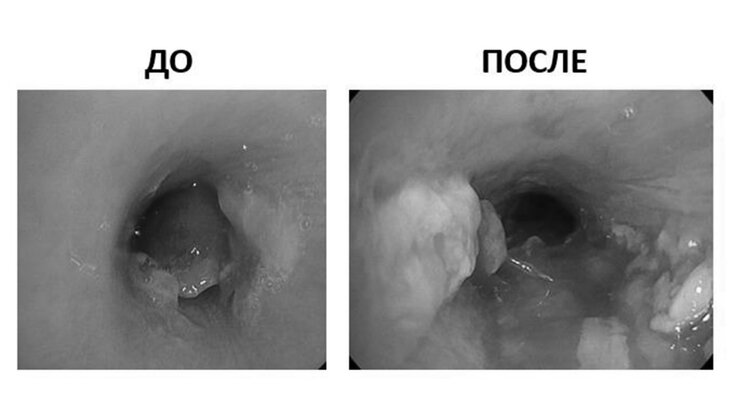 ����� ������ ����� ������ ������ ������� �� ��������� �� �������� � ������