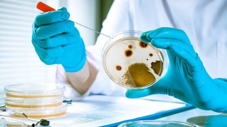 ��������������� ��������� ���������� � ��������� ��������� ����� � ������� ���