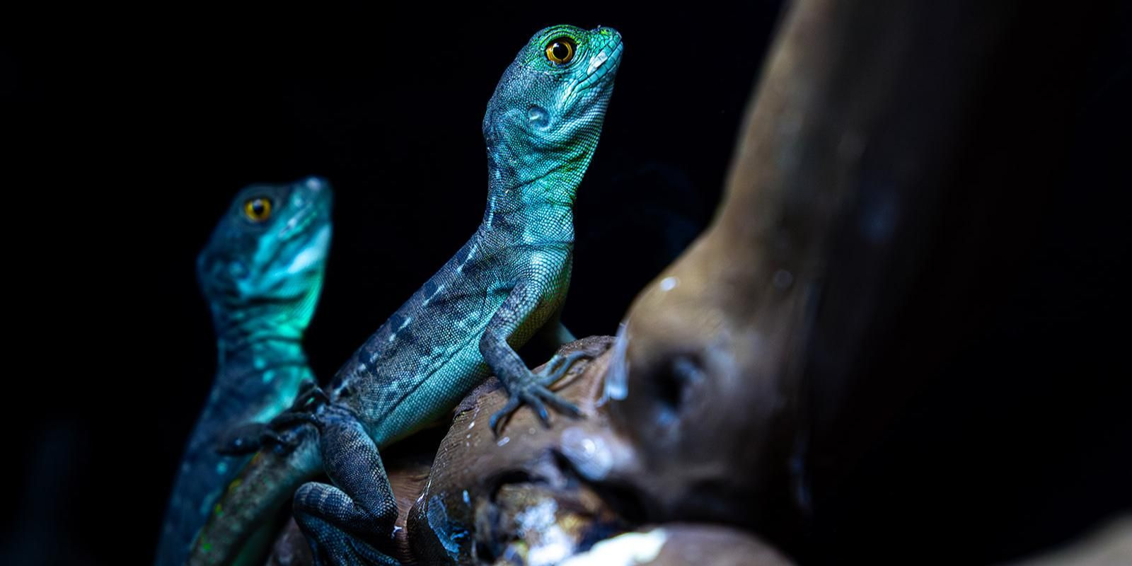 ������� ������� �������� � ���������� ������ ����� � ������������ �� ����