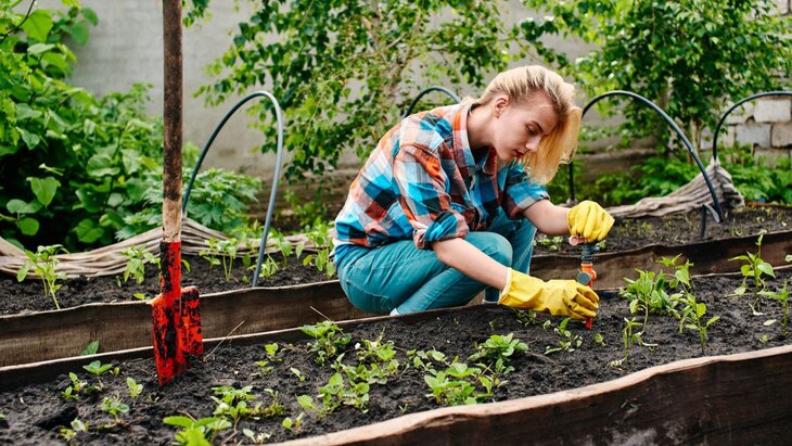 ������� ����������, ��� ������ �������� �� ������� �� ����