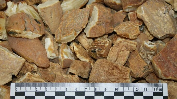 ���������� ��� � ��� �� �������� ���������� ����� � ����� ����� 48 �� ������