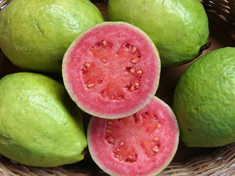 � ������������ ���� ��� ������� ��������� ���������� �����