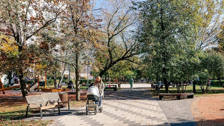 �������: ���������� ����� 50 ������������ �������� ������������ � ���� ����