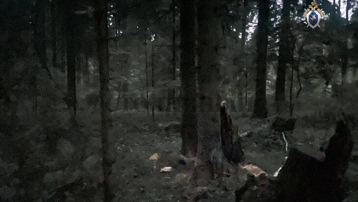 ����������� ��������� ��������� ���� ����� ������������� ������� � �����