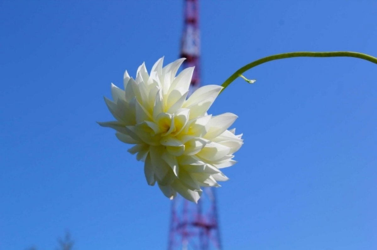 ����������� ��������� � ����� �������������� �������� ��� ������� �� ������������ ��������� 8 �����