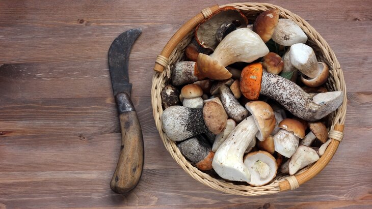 �������� ������������� �� ������� ������ �� ������