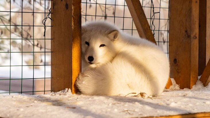 �������� ������� ����� ��� ������ � ���������� ������ �� ����