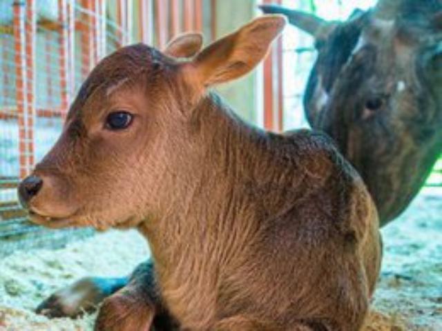 �� ���������� ����� ���� �� ���� �������� ������� �������� ����� ����