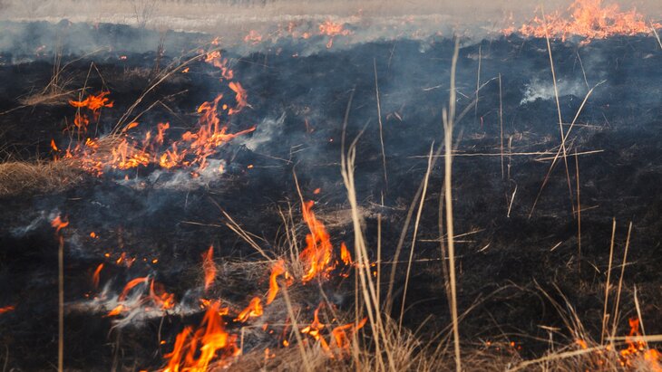 ����� ����� ���������� � ������ �� ������� 1 ������