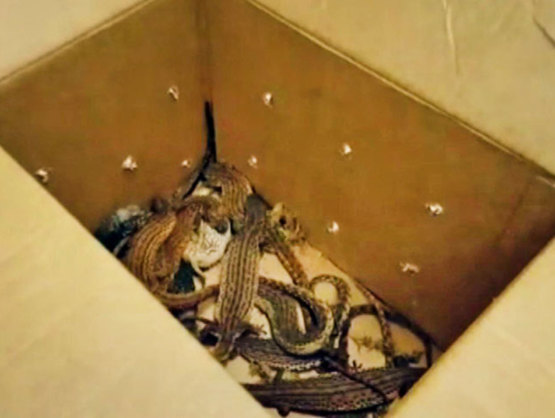 � ������ ��������� �������� � ��������� ���������� � ��������