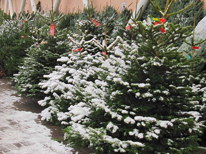 ������� ������ � ������ ��������� ��������