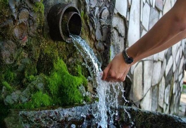 � ���� �� ����������� ���� �� ���� ������� ��������