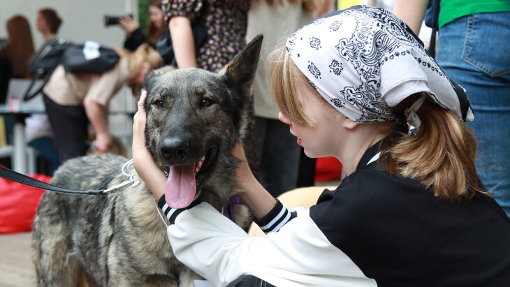 ������ ������ ������� ��������� "����� �������������"