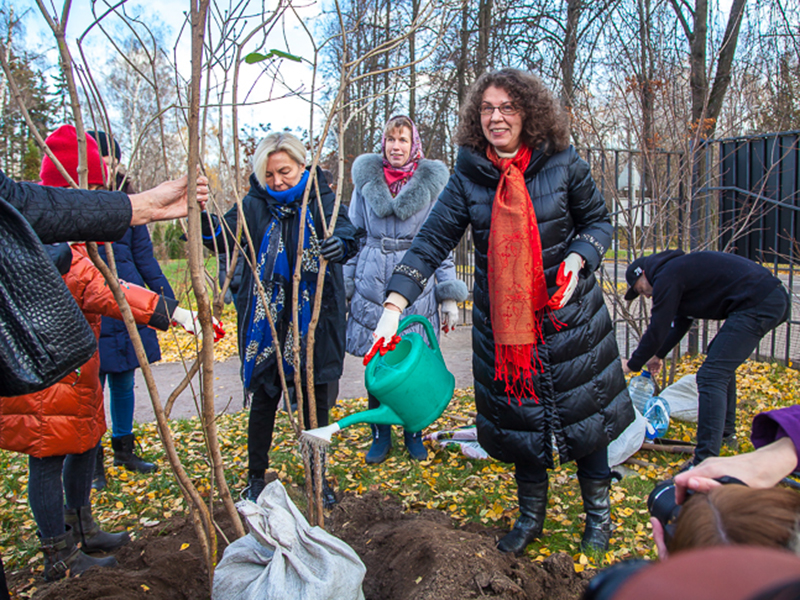 � ����� ����������� ������� ����� ���������