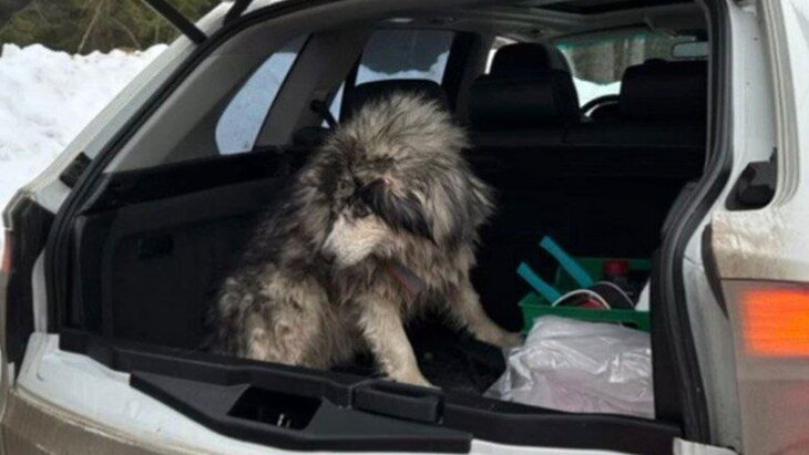 � ������� ������ ������, ������������� ��� ��� ������ ����� ������