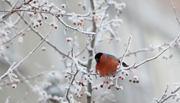 ��������� ������������� � ������ ����������� � ������ ����� ����������� �����  