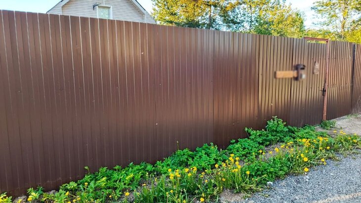 � ����������� �������� ���������� ����� �� ������� ��������� � ���� ��������� �����