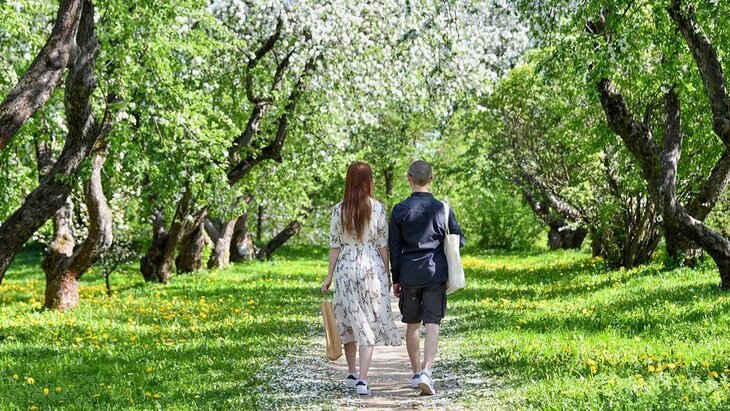 ��������� "��������� ����������" ������� ����������� ����� ������