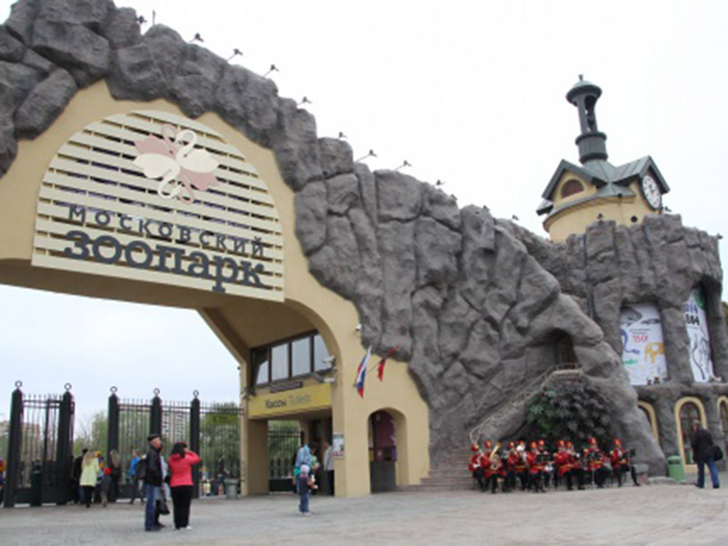 � ���������� �������� ���������� �������� � ������ ��� ��������