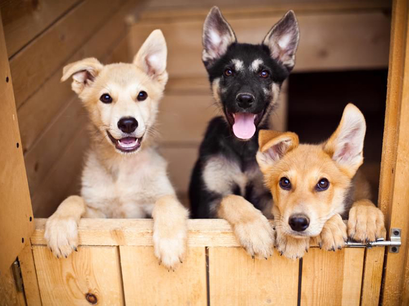 30 ���� ������ ������ ������������ �� ����������������� �������� ��������� ��������