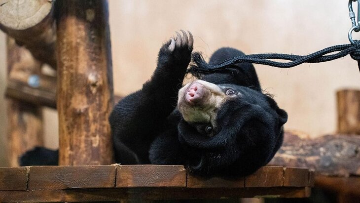 � ��������� �������� ��������� ��� ����� ���������� � ������� ���������