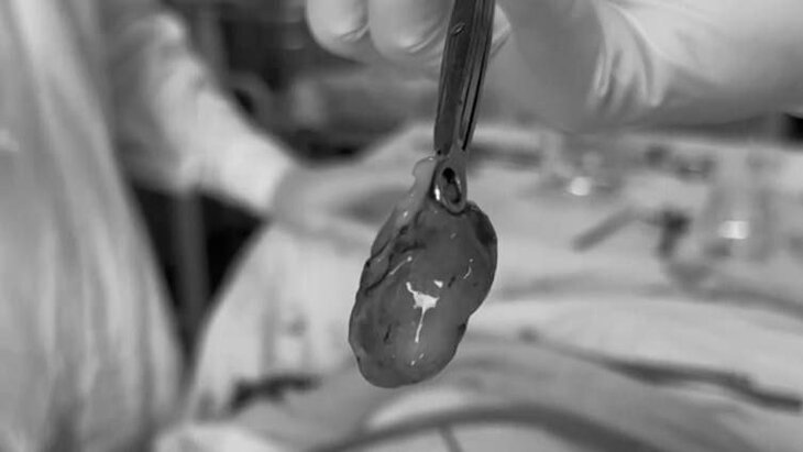 ������������ ����� ������� ������� �� ���� ����� �������� � �����