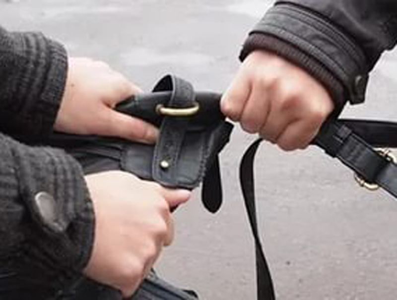 � ��������� �������� ���������� ������� �� ������� ������ ��������� ���������