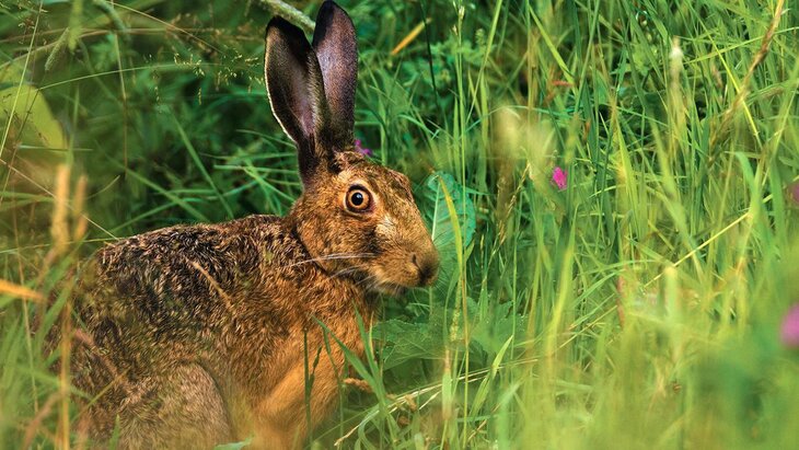 � ������� ����� ������ ������� 573 ���� ��������, �������� � ������