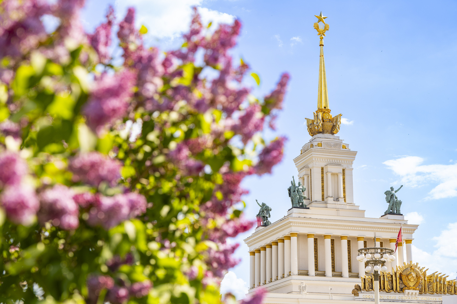 �������-������ ����� ��������� �� ���� 18 ������