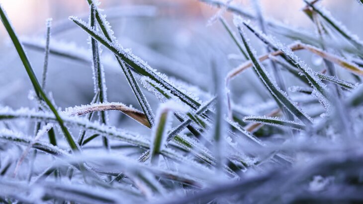 ���������� ����������� ������� ����� ���� ����� �� � ��� ��-�� ����������