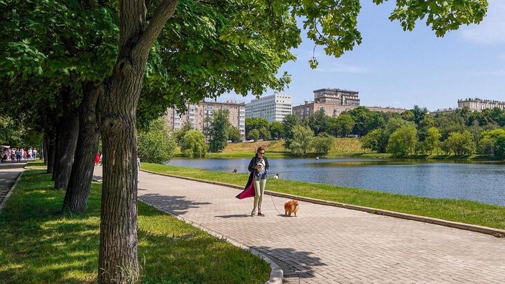 �������� �������, ����� � ������ �������� ������ ������