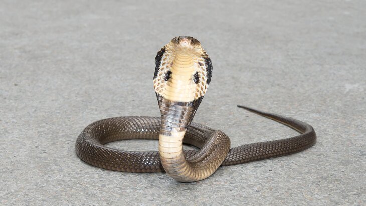 � ����� ��������� ������� ������ 70-������������� �����