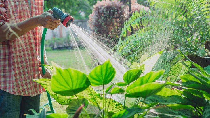 ��������� ����������� ������� ������ �������� �� ���������� ����