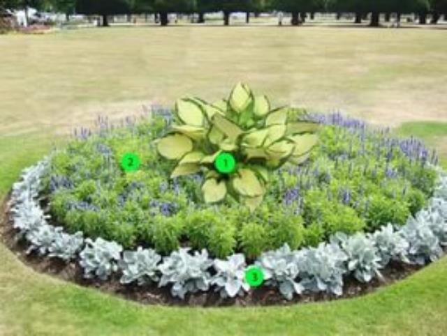 �������-�������� �� ���� ����� � ������ ������ �� �������� ���������