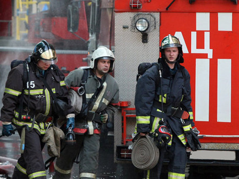 � ������ ���� � ��� ��� ������� ������� ������