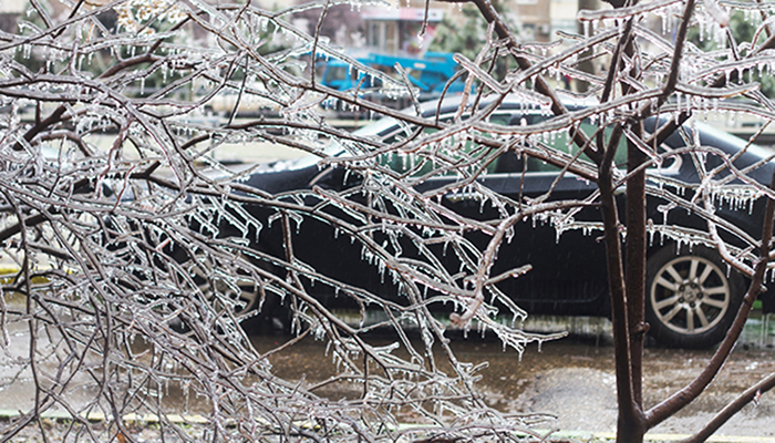 ��������� ������ ������������ ��� ��� ������ ���������� ������ � ������� ������