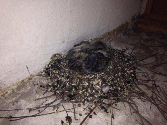 �� ������� � ���� ���������� ��������� ������