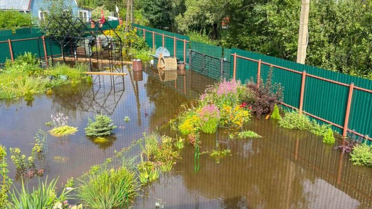 ���� ������ � ������� ������� �� ������� ��-�� ������