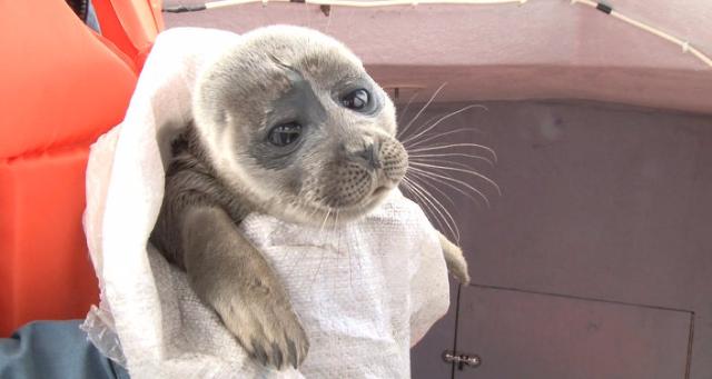 ���� �������� �� ���� � ������������