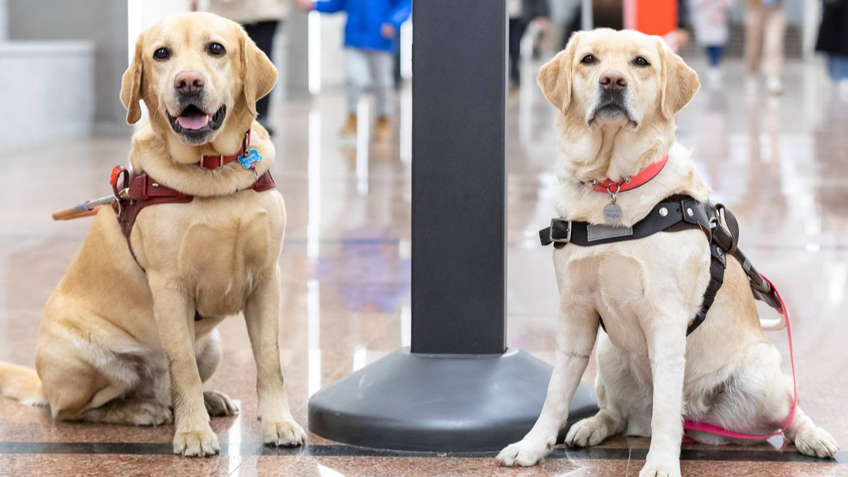 ���������� ��������� � ����� ��� �����-��������� ������� �� ���� 29 ������