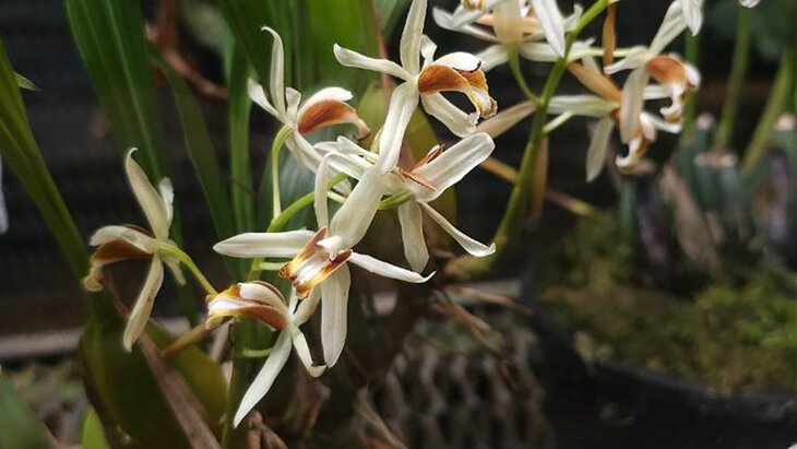 � "����������� �������" �������� ������� "������� ��������"